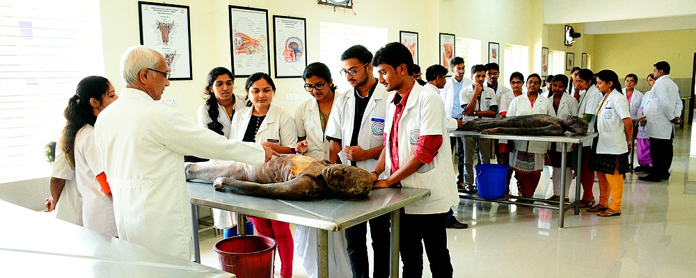 Anatomy Lab